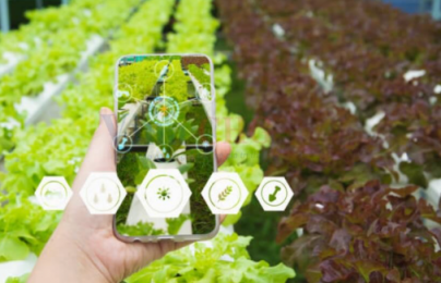 Hà Nội hướng tới hệ thống định danh và truy xuất nguồn gốc hàng hóa thống nhất