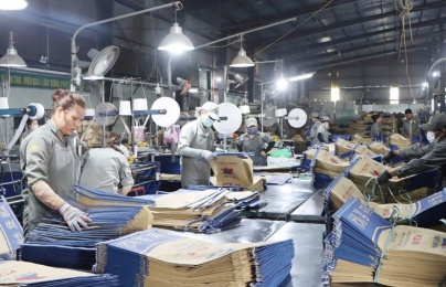 Chuyển đổi xanh, chuyển đổi số: Khi năng suất là thước đo thực chất