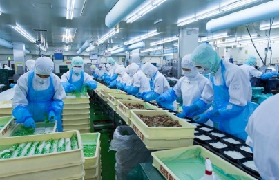 Tiêu chuẩn HACCP: Giải pháp nâng cao năng lực cạnh tranh cho doanh nghiệp thực phẩm