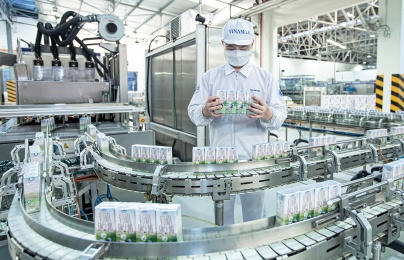 ISO 14001: “Đòn bẩy xanh” giúp doanh nghiệp nâng cao năng suất và hội nhập quốc tế