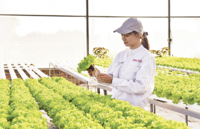 Minh bạch dữ liệu, nền tảng của khởi nghiệp xanh