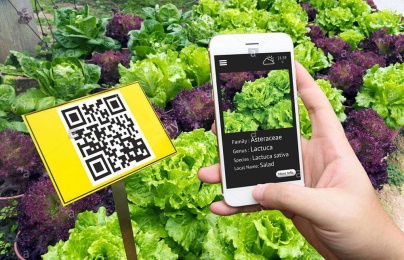 Bài 2: Những công nghệ cốt lõi giúp phát hiện hàng kém chất lượng trong thời đại số