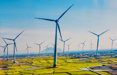 TCVN 10687-12:2025: Chuẩn hóa đo lường, minh bạch hiệu suất tuabin điện gió