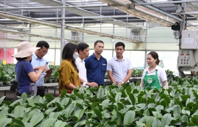 Khi nông dân 'làm nông bằng dữ liệu'