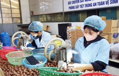 Từ sản lượng đến giá trị: Bước chuyển của nông nghiệp thời công nghệ