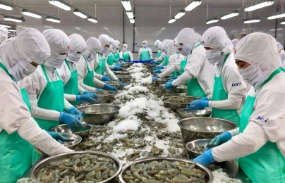 Indonesia thông báo dự thảo quy định về đăng ký nhà xuất khẩu thủy sản