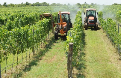 Lâm Đồng đẩy mạnh áp dụng tiêu chuẩn, nâng cao năng suất chất lượng doanh nghiệp giai đoạn 2026–2030