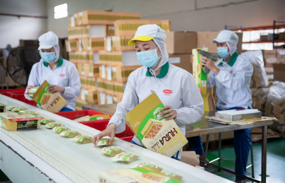 Năng suất lao động và TFP - Hai trụ cột trung tâm để tăng trưởng nhanh và bền vững 