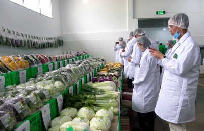 Mở cửa thị trường bằng 'hộ chiếu số'