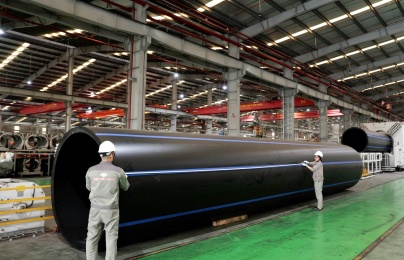 Hải Phòng thúc đẩy năng suất, chất lượng dựa trên khoa học, công nghệ và đổi mới sáng tạo