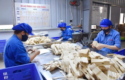 Tối ưu môi trường làm việc để nâng năng suất