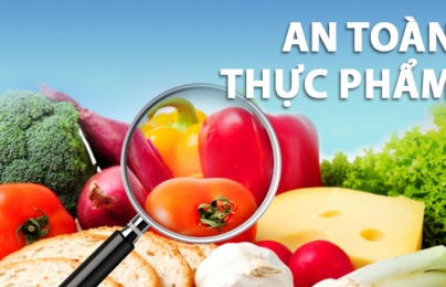 Đề xuất lập cơ quan quản lý an toàn thực phẩm cấp trung ương trực thuộc Bộ Y tế