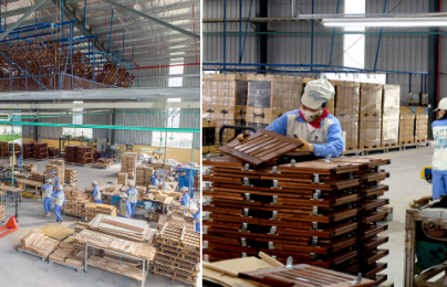 Doanh nghiệp gỗ Việt đẩy mạnh áp dụng tiêu chuẩn FSC để nâng năng suất và mở rộng thị trường