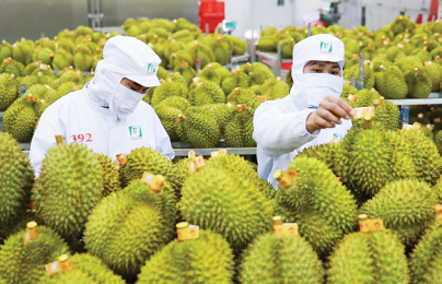Kết hợp ISO 22000 với Kaizen: Hướng đi bền vững cho doanh nghiệp thực phẩm
