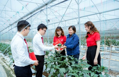 Hỗ trợ tối đa 80% chi phí cho doanh nghiệp nhỏ và vừa nâng cao năng suất, chất lượng sản phẩm