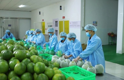 Từ tiêu chuẩn đến thị trường quốc tế: Hành trình nâng cao chất lượng hàng hóa