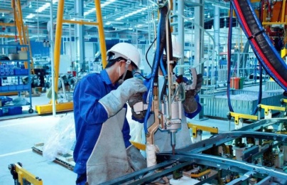 Chuẩn hóa công việc: Nền tảng của năng suất bền vững
