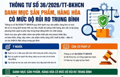 Mũ bảo hiểm, dầu nhờn, đèn LED... thuộc nhóm hàng hóa rủi ro trung bình