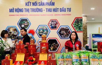 Nâng chuẩn OCOP để gia tăng chất lượng và sức cạnh tranh sản phẩm