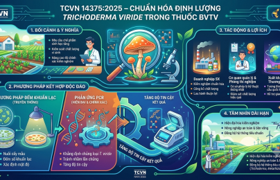 Chuẩn hóa phương pháp định lượng Trichoderma viride trong thuốc bảo vệ thực vật