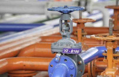 Nhiên liệu điêzen sinh học gốc (B100) phải đáp ứng yêu cầu gì trước khi lưu thông?