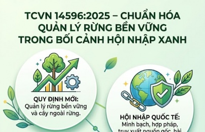 TCVN 14596:2025: Nâng chuẩn quản lý rừng trong chuỗi cung ứng xanh