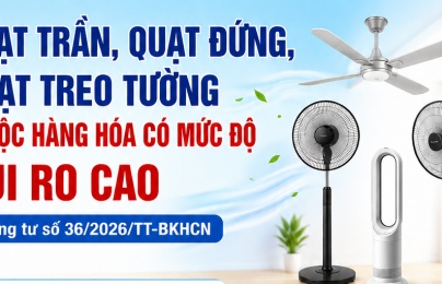 Quạt trần, quạt đứng, quạt treo tường thuộc nhóm hàng hóa rủi ro cao, phải đáp ứng QCVN