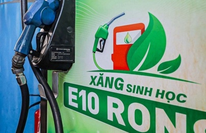 Kiểm soát chất lượng xăng E10: Từ hành lang kỹ thuật đến giám sát thị trường