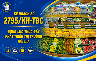 Kế hoạch số 2795/KH-TĐC: Động lực thúc đẩy phát triển thị trường nội địa