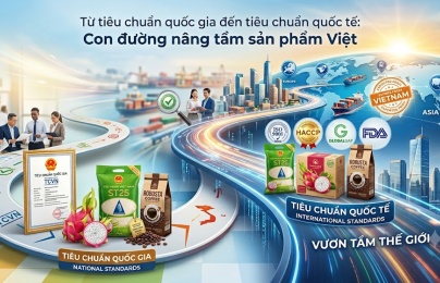 Từ tiêu chuẩn quốc gia đến tiêu chuẩn quốc tế: Con đường nâng tầm sản phẩm Việt