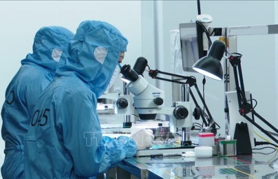 Định hình tư duy năng suất mới để bứt phá