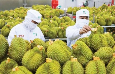 158.234 sản phẩm đã cập nhập vào hệ thống truy xuất nguồn gốc nông sản