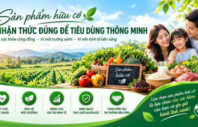 Sản phẩm hữu cơ - giá trị thật trong nền kinh tế xanh và tiêu dùng bền vững