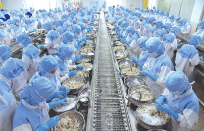 Nhiều quy cách, nhiều thị trường: Bài toán năng suất của doanh nghiệp thủy sản