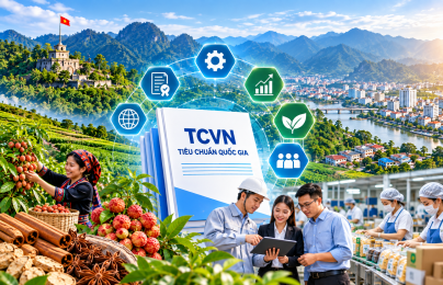 Lạng Sơn hỗ trợ doanh nghiệp tiếp cận và áp dụng tiêu chuẩn quốc gia