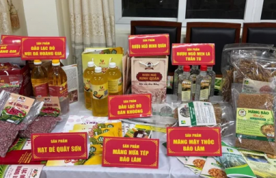 Cao Bằng nâng cao năng lực quản lý tiêu chuẩn, chất lượng từ cơ sở