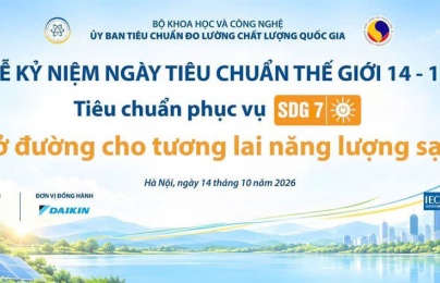 Tiêu chuẩn dẫn dắt - Kiến tạo tương lai