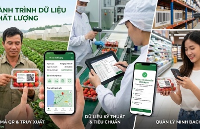 Bài 1: Khi chất lượng không còn nằm trên giấy