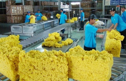 Tiêu chuẩn hoá cao su khử Protein từ hoá học xanh hướng tới mục tiêu Net - Zero