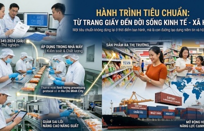 Khi tiêu chuẩn từ trang giấy bước ra đời sống