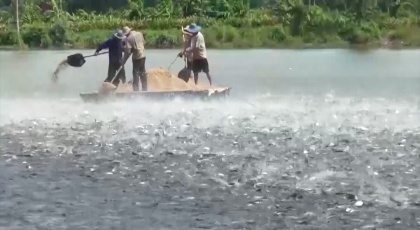 Chuẩn hóa quản lý chất lượng: Nền tảng để thủy sản Việt bứt phá