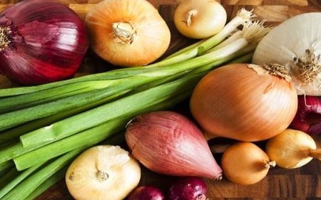 Cảnh báo nguy cơ nhiễm khuẩn Salmonella từ hành tây