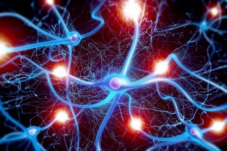 Mạng lưới thần kinh – mô hình AI tiềm năng và đột phá