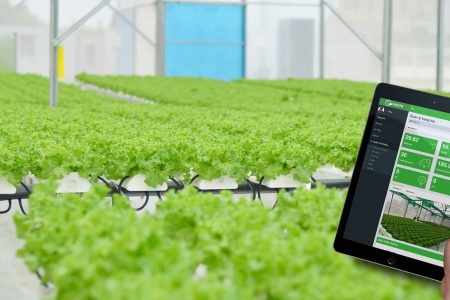 Từ nông dân truyền thống trở thành 'người điều hành farm số' chỉ bằng một nút chạm