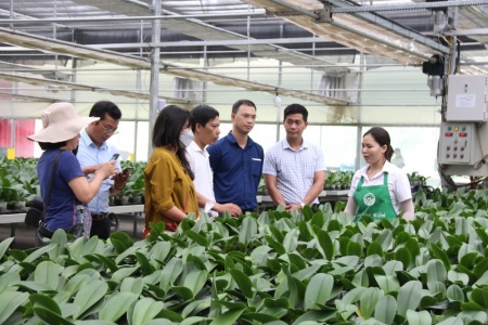 Khi nông dân 'làm nông bằng dữ liệu'