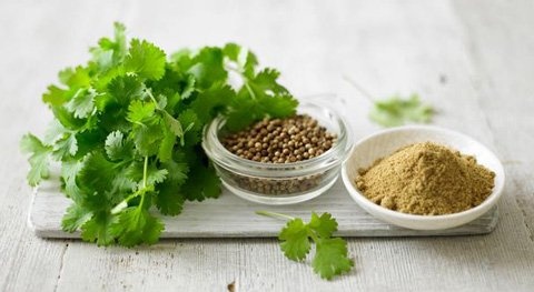 Mua hạt mùi để phòng bệnh sởi chỉ phí tiền