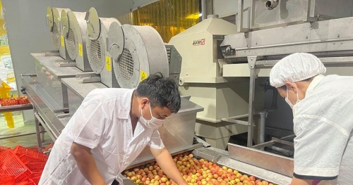 The Ministry of Industry and Trade connects the consumption of agricultural products and supplies essential goods to Bac Giang