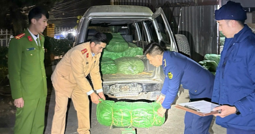 Cao Bằng: Thu giữ 1.389kg cây thuốc lá khô và vải may mặc nhập lậu