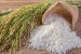 Chính phủ sửa quy định về chứng nhận chủng loại gạo thơm xuất khẩu sang Liên minh châu Âu