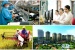 Nhận diện một số nút thắt gây trì trệ trong đổi mới và phát triển khoa học và công nghệ